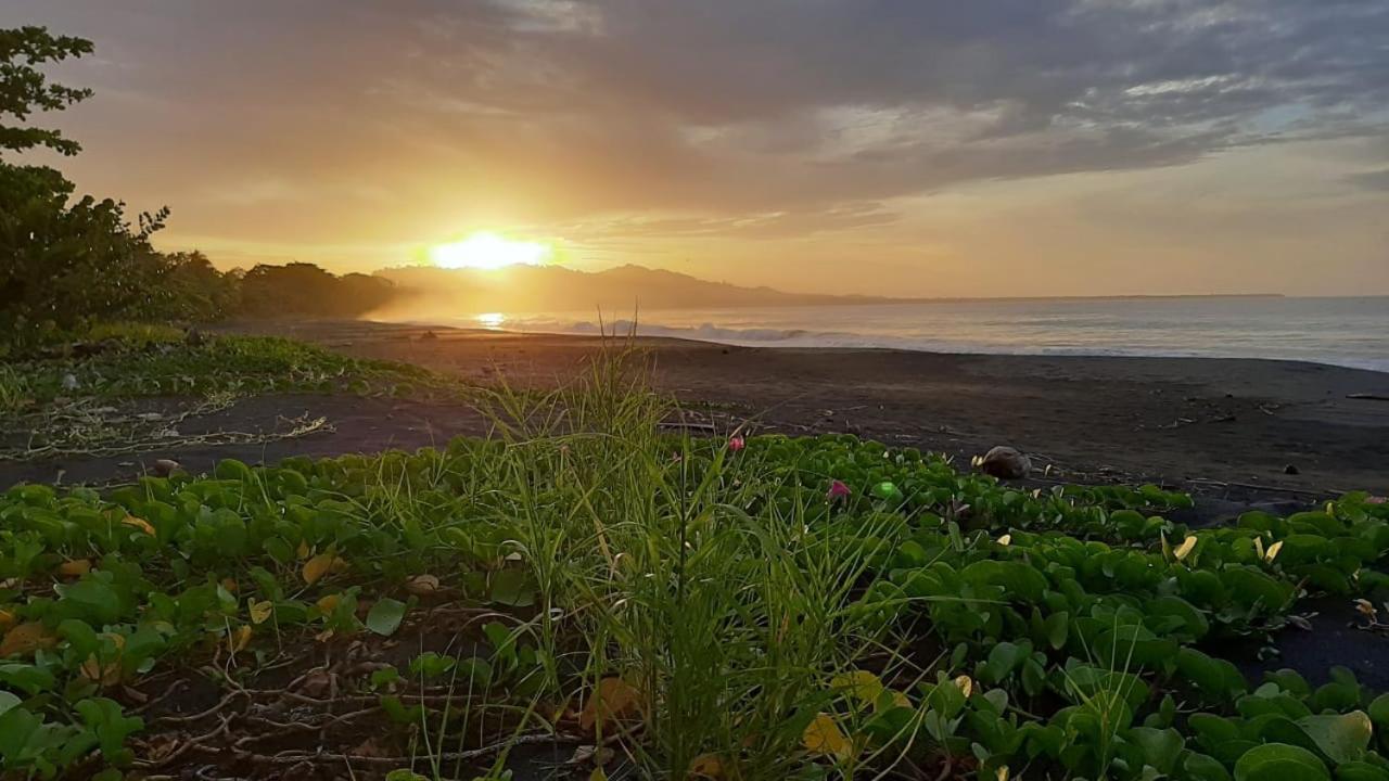 Hotel One Love Puerto Viejo Puerto Viejo de Talamanca Екстер'єр фото