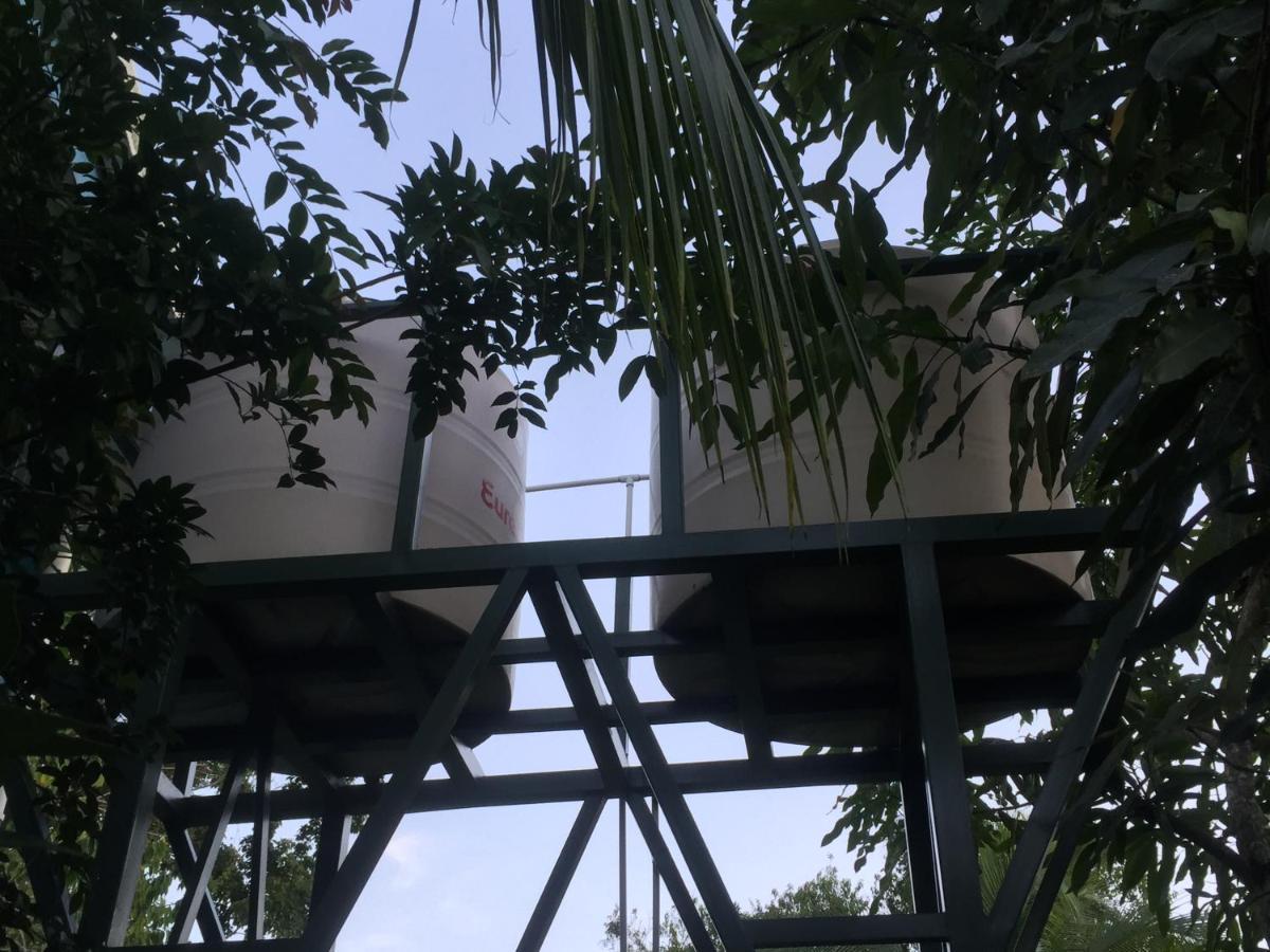 Hotel One Love Puerto Viejo Puerto Viejo de Talamanca Екстер'єр фото