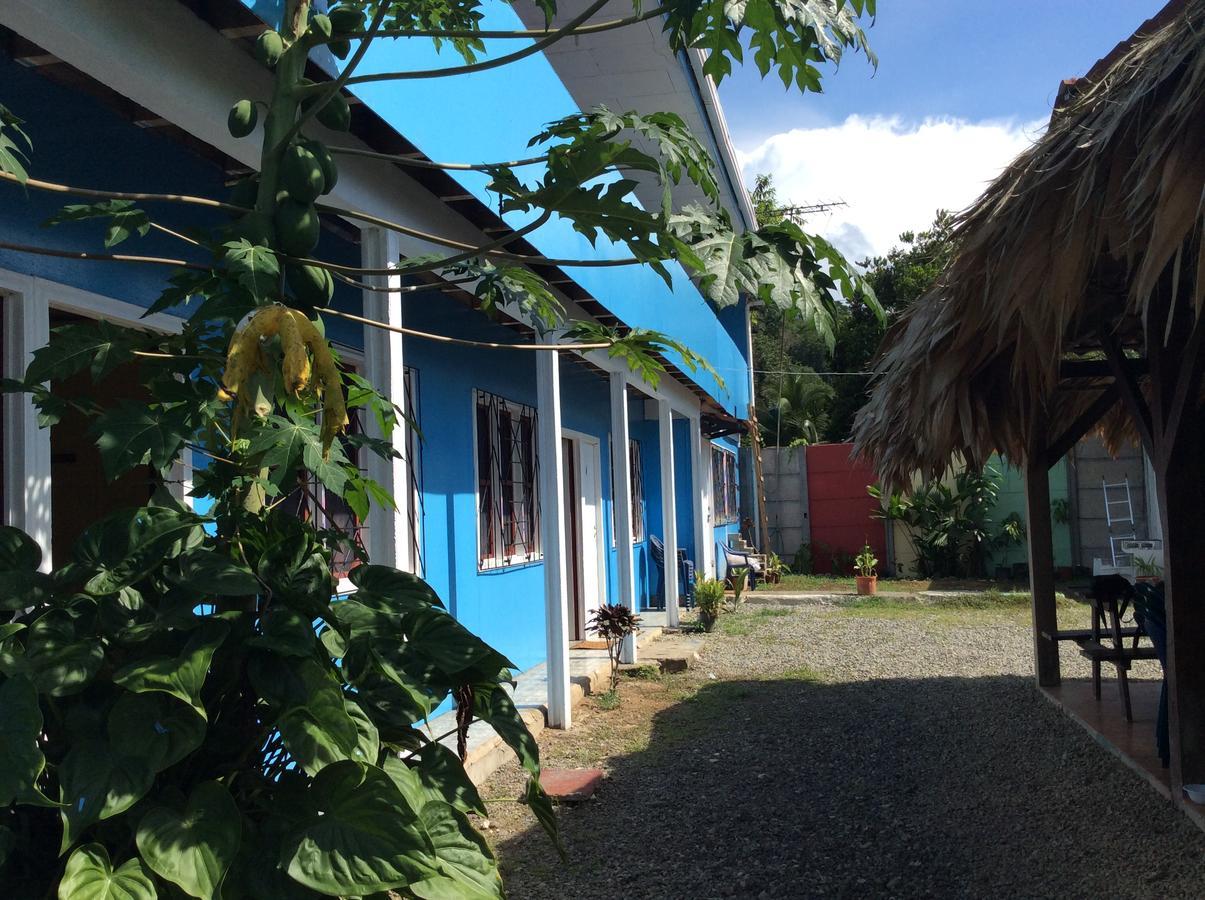 Hotel One Love Puerto Viejo Puerto Viejo de Talamanca Екстер'єр фото